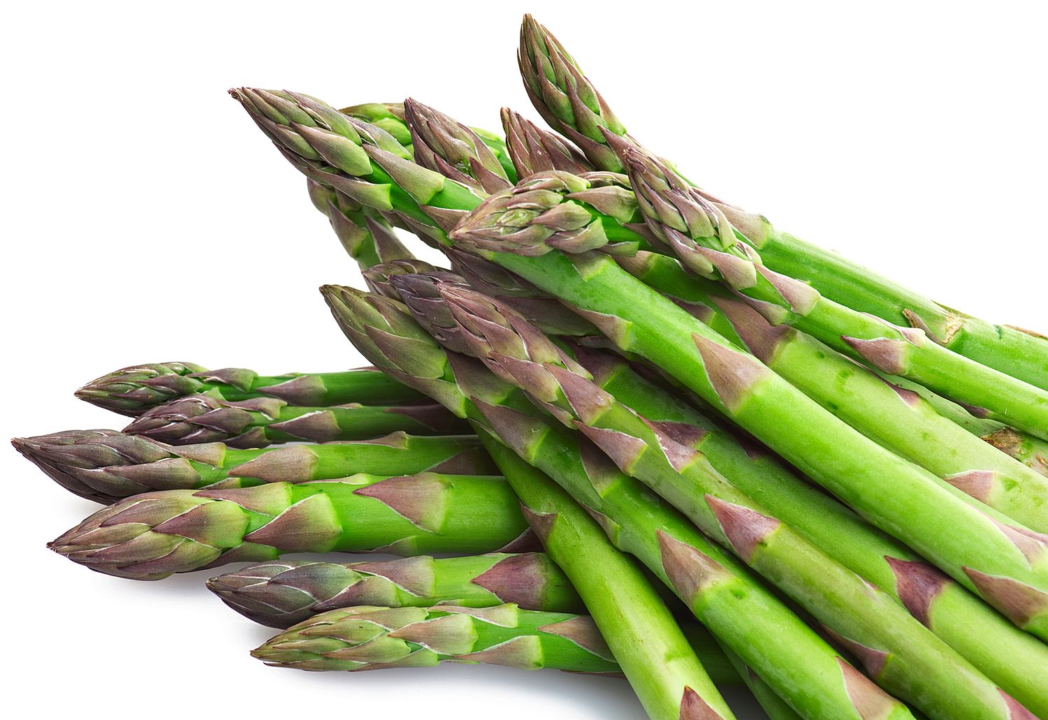 Asparagus: Mary Washington