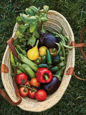 Vegetables
