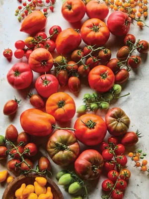 Tomatoes
