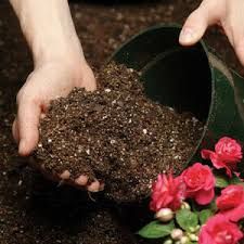 Soils
