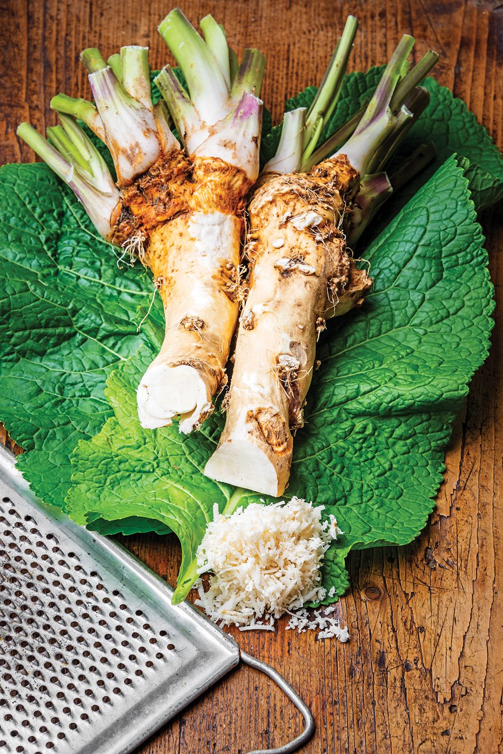 Horseradish