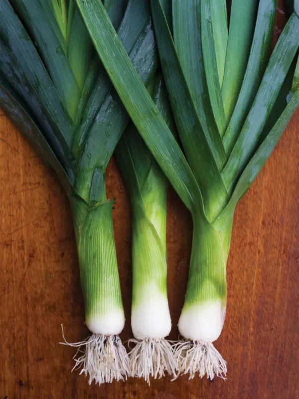 Leek: American Flag