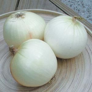 Onion: White Sweet Spanish