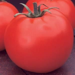 Tomato: Celebrity