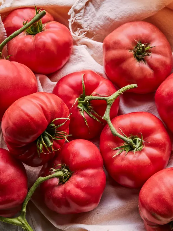 Tomato: Mortgage Lifter