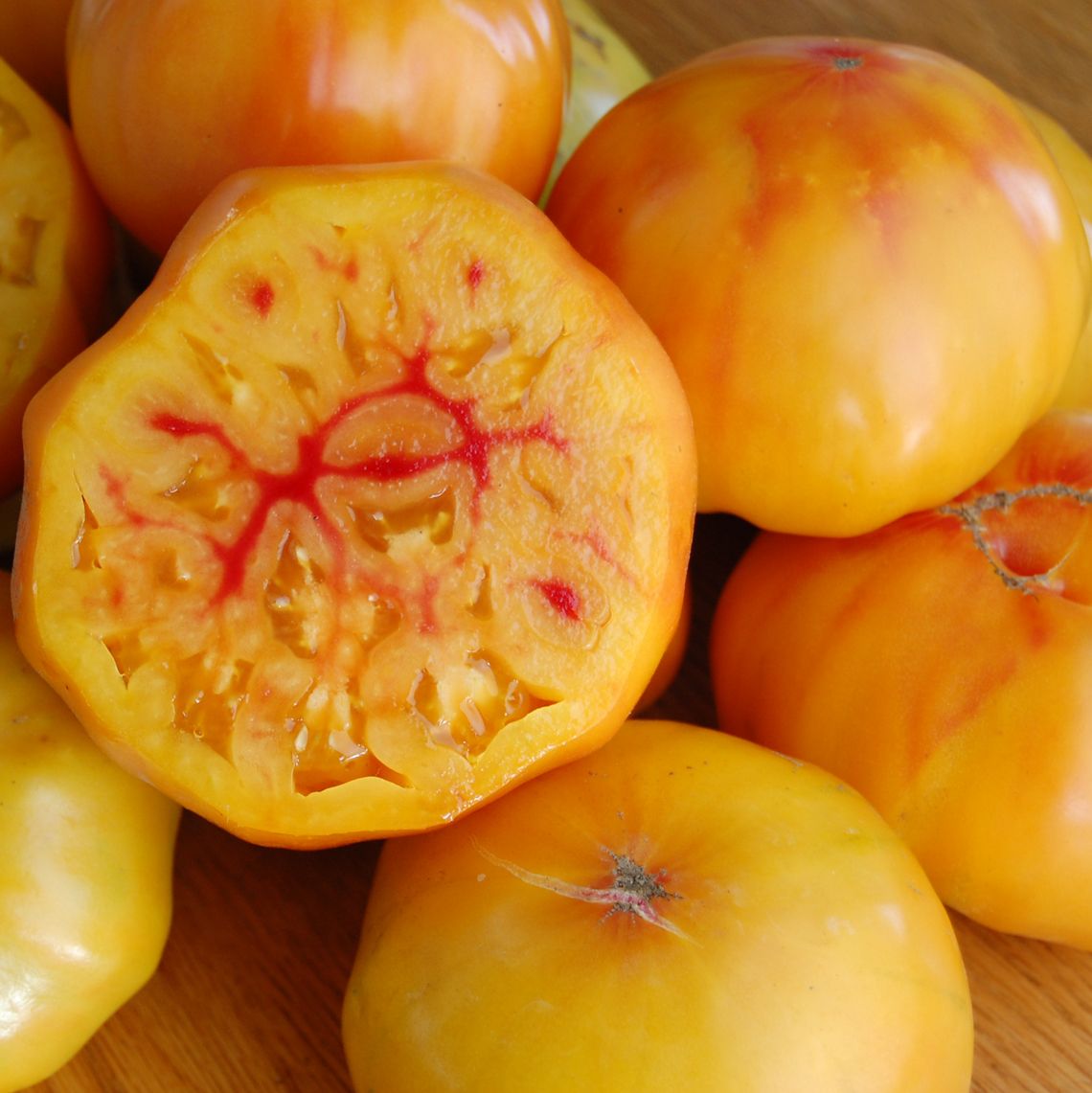 Tomato: Gold Medal