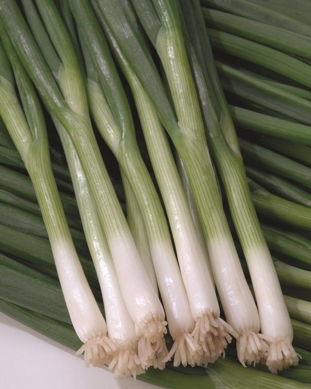 Onion: Green Banner (Bunching)
