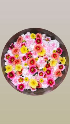 Spring Fling