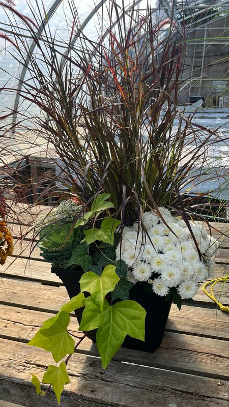 Pre-made Planters (15'' Pots)