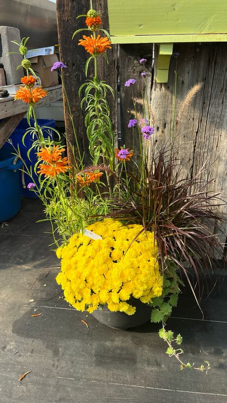 Pre-made Planters (15'' Pots)