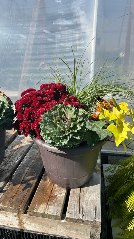 Pre-made Planters (12'' Pots)