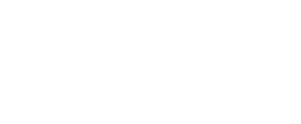 Caribbean's Invetments