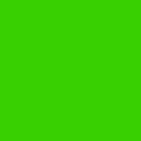 1 ft. 069 Fluorescent Green Oracal 