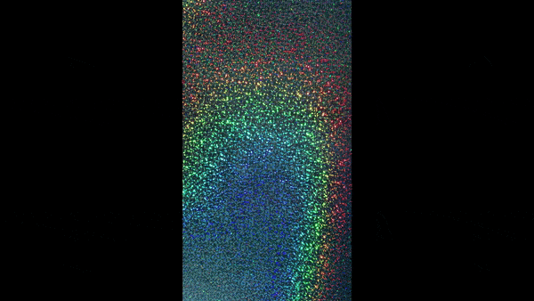 1 ft. Sky Holographic