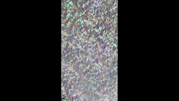 1ft. Silver Crystal Holographic