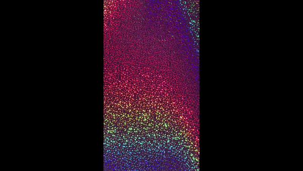 1ft. Light Pink Holographic