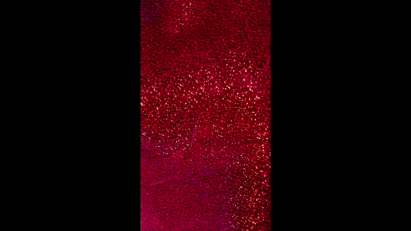1ft. Red Holographic