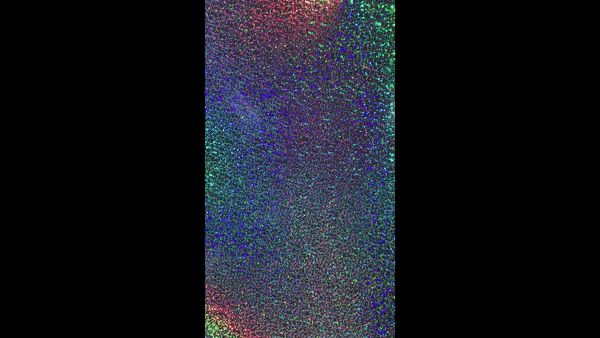 3ft. Silver Holographic