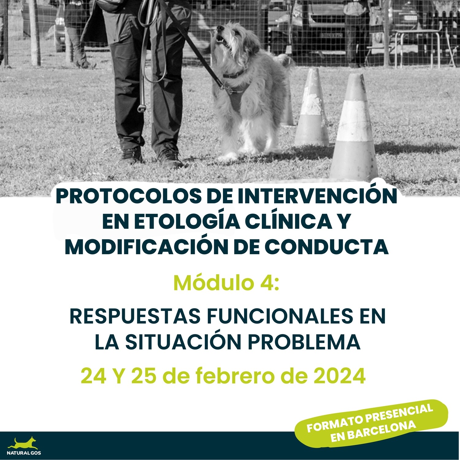 MÓDULO 4 Protocolos de intervención en etología clínica