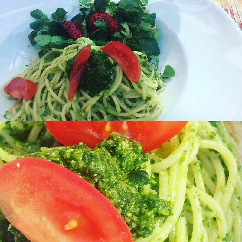 Bärlauchpesto aus eigener Herstellung