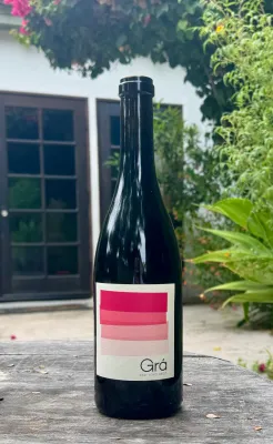 2021 Grá Wines Teroldago