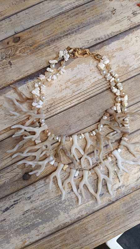 Collar coral Collar coral