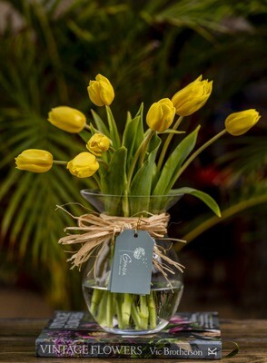 Florero + Tulipanes