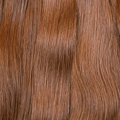 COPPER CHESTNUT-17