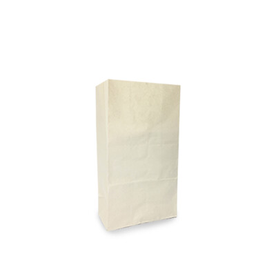 BOLSA ECOLOGICA D/PAPEL #10 1UN *Producto disponible en pocas horas!!