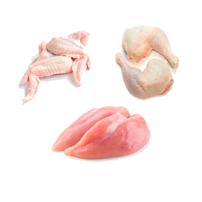 POLLO