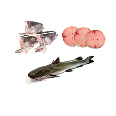 PESCADO DE RIO O AGUA DULCE
