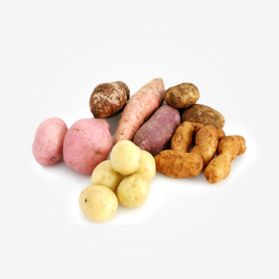 HORTALIZAS DE TUBERCULO O  RAIZ