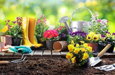 JARDINERIA