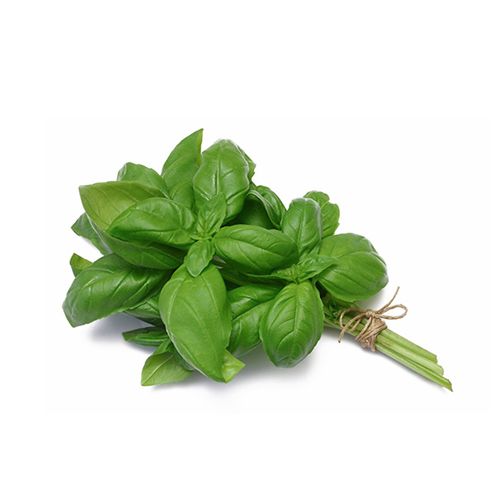 ALBAHACA FRESCA 1KG 150 gr
