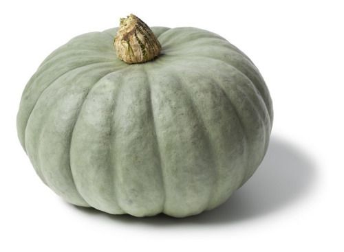ZAPALLA 100gr