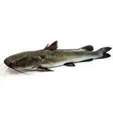 BAGRE BLANCO ENTERO 100gr