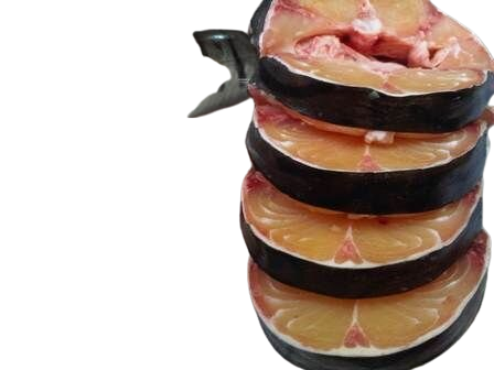 BAGRE RAYADO RUEDA 100gr