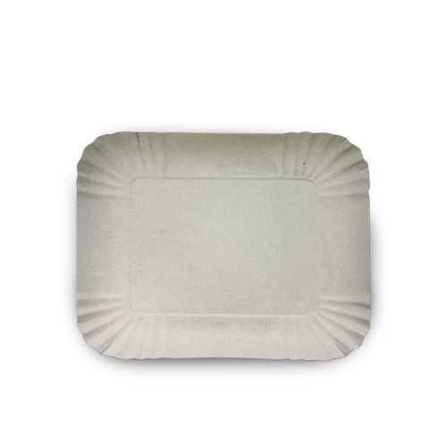 BANDEJA DE CARTON  #8-27X22CM 1UN