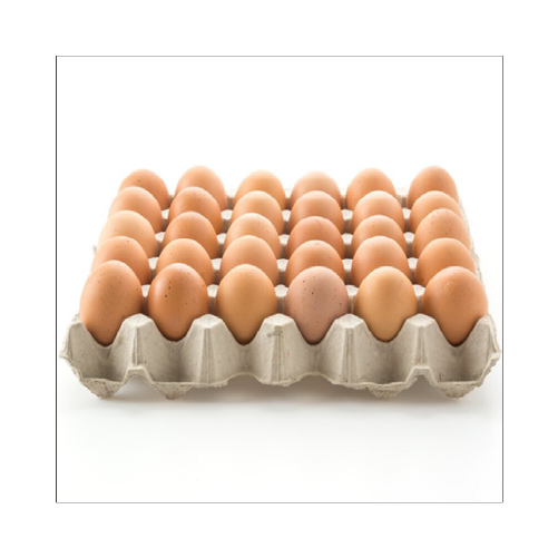 KIRI HUEVOS ESTUCHE PLASTICO 6UND