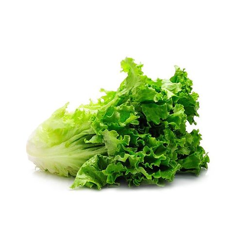 LECHUGA CRIOLLA 500 gr