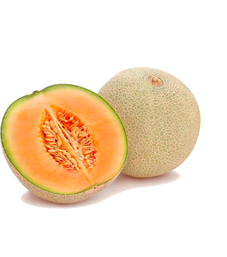 MELON 1.200,00 Kg