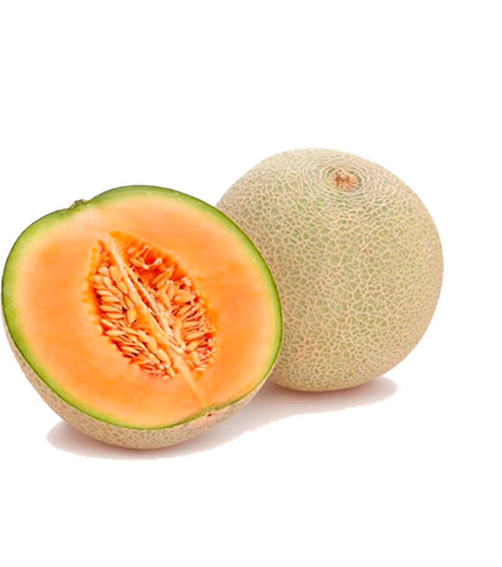 MELON 1.200,00 Kg