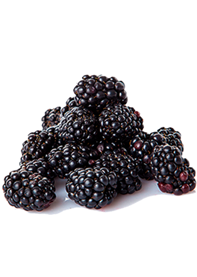MORA 500 gr