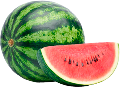 PATILLA 1.250,00 Kg