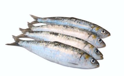 SARDINA ENTERA  800 gr