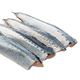 TACOS DE SARDINA 100gr