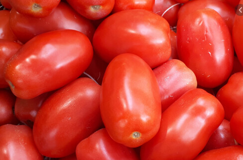 Tomate