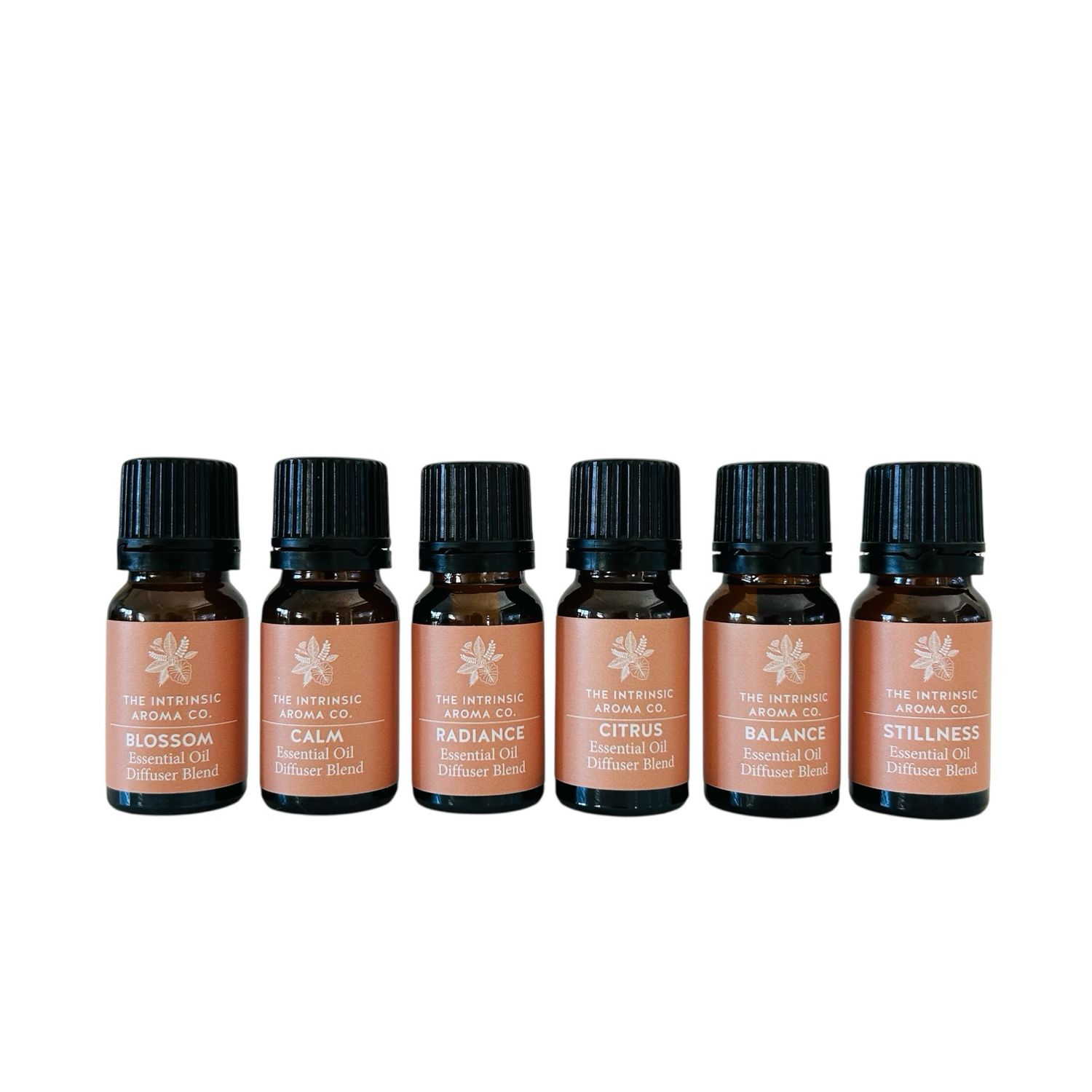 ESSENTIAL OIL DIFFUSER BLEND BUNDLE 10ml