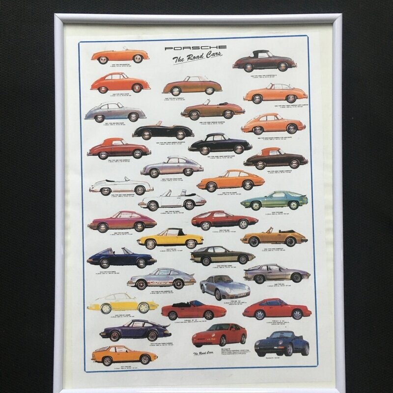 Poster 30 x 40 cm inclusief lijst