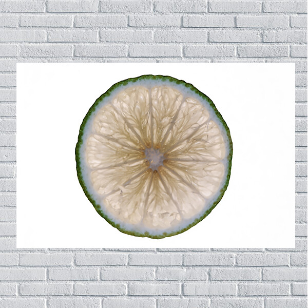 Lime Slice